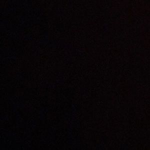 Meet your Posher, Elvis